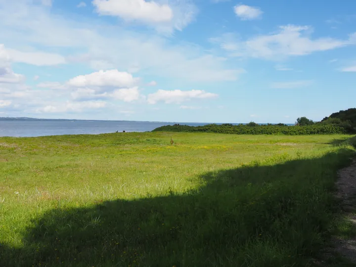 Trelde Næs (Fredericia) (Denemarken) 